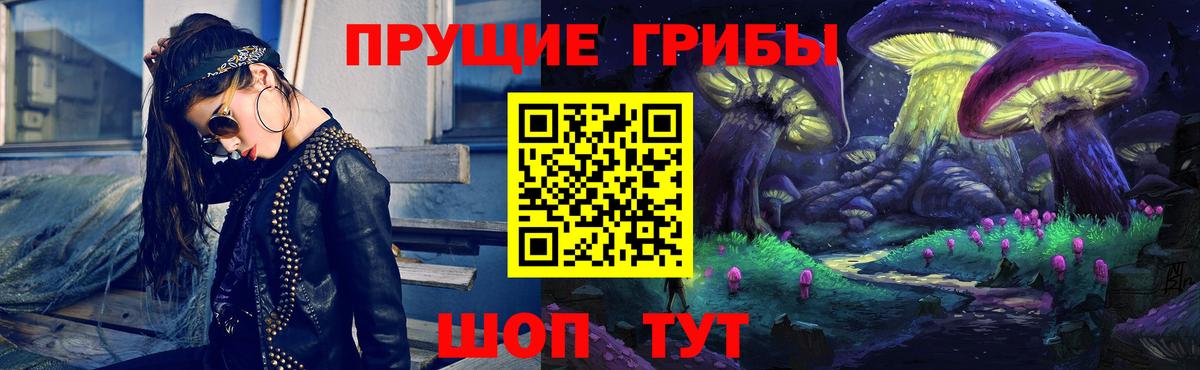 Саранск  Псилоцибиновые грибы GOLDEN TEACHER  Вход с VPN 
